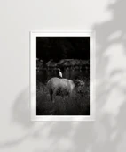 Çerçevesiz Poster Uyumun Sessizliği thumbnail 6