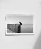 Çerçevesiz Poster Sessizliğin Kanatları thumbnail 1