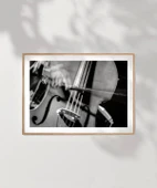 Çerçevesiz Poster Stradivarius'un İzinde thumbnail 7