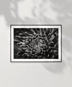 Çerçevesiz Poster Doğanın Geometrisi thumbnail 2