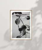 Çerçevesiz Poster Suyun Altındaki Hayat thumbnail 7