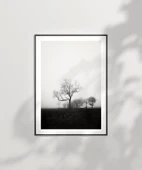 Çerçevesiz Poster Sessiz Bir Sabah thumbnail 2