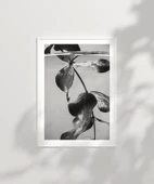 Çerçevesiz Poster Suyun Altındaki Hayat thumbnail 6