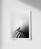 Çerçevesiz Poster Çizgilerin Üzerinde thumbnail 1