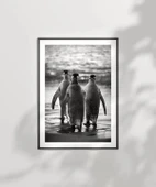 Çerçevesiz Poster Penguen Kardeşliğ, thumbnail 2