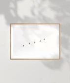 Çerçevesiz Poster Gökyüzünde Özgürlük thumbnail 7