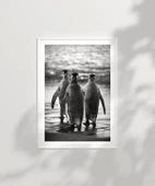 Çerçevesiz Poster Penguen Kardeşliğ, thumbnail 6