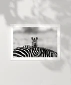 Çerçevesiz Poster Siyah Beyaz Denge thumbnail 6