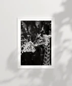 Çerçevesiz Poster Uzun Boylu Aşk thumbnail 6