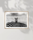 Çerçevesiz Poster Siyah Beyaz Denge thumbnail 7