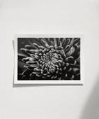 Çerçevesiz Poster Doğanın Geometrisi thumbnail 1