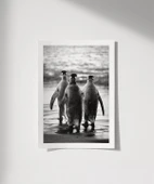 Çerçevesiz Poster Penguen Kardeşliğ, thumbnail 1