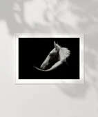 Çerçevesiz Poster Gölgedeki Asalet thumbnail 6