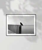 Çerçevesiz Poster Sessizliğin Kanatları thumbnail 2