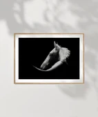 Çerçevesiz Poster Gölgedeki Asalet thumbnail 7