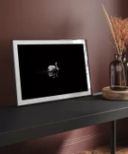 Çerçevesiz Poster Gecenin Yalnız Kuğusu thumbnail 3