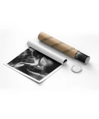 Çerçevesiz Poster Ördekler Arasında thumbnail 8