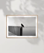 Çerçevesiz Poster Sessizliğin Kanatları thumbnail 7