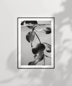 Çerçevesiz Poster Suyun Altındaki Hayat thumbnail 2