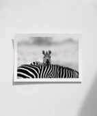 Çerçevesiz Poster Siyah Beyaz Denge thumbnail 1