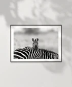 Çerçevesiz Poster Siyah Beyaz Denge thumbnail 2