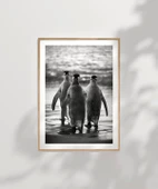 Çerçevesiz Poster Penguen Kardeşliğ, thumbnail 7