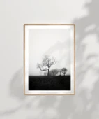 Çerçevesiz Poster Sessiz Bir Sabah thumbnail 7