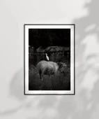 Çerçevesiz Poster Uyumun Sessizliği thumbnail 2