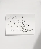 Çerçevesiz Poster Hareketin Özgürlüğü thumbnail 1