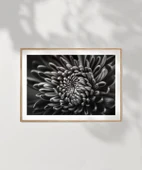 Çerçevesiz Poster Doğanın Geometrisi thumbnail 7