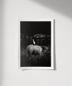 Çerçevesiz Poster Uyumun Sessizliği thumbnail 1