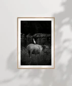 Çerçevesiz Poster Uyumun Sessizliği thumbnail 7