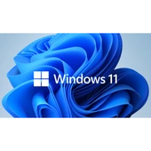 Microsoft Windows 11 Pro FQC-10556 64 Bit (OEM) Türkçe - 1