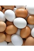 Sahte Yumurta 40 Adet Karışık Renk - 1