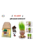 Minopi 10 Paket Çim Adam Yapım Seti Okul Eğitici Deney Seti Çim Adam Seti - 1
