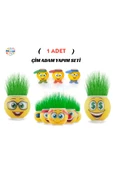 Minopi 1 Kutu Emoji Çim Adam Yapım Seti Okul Eğitici Deney Seti Çim Adam Seti - 1