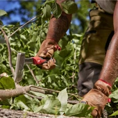 Milwaukee 40 CM Balta Katlanır Çakı Seti 4932499031 - 3