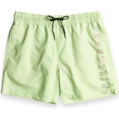 Billabong EBYJV00122 Allday Heritagelb Volley Erkek Şort thumbnail 4