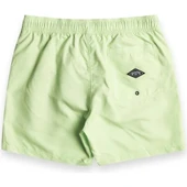 Billabong EBYJV00122 Allday Heritagelb Volley Erkek Şort thumbnail 5