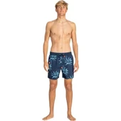 Billabong EBYJV00128 Vacay Lb Erkek Şort Mayo thumbnail 3