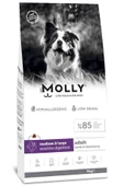 Molly Medium Adult 2 kg Kuzu Etli & Yaban Mersinli Orta ve Büyük Irk Yetişkin Köpek Maması thumbnail 2
