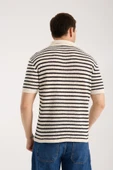 Erkek Polo Yaka Krem Siyah Çizgili Kısa Kollu Triko Tişört thumbnail 5