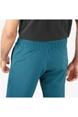 SALOMON WAYFARER EASE SHORTS M thumbnail 3