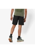 SALOMON WAYFARER EASE SHORTS M thumbnail 2