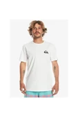 QUIKSILVER MW MINI LOGO SS thumbnail 3