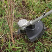 Bosch Advanced Bruschcut 36v-23-750 1x2a Akülü Tırpan Kenar Kesme Makinası- 06008C1K03 - 6