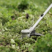 Bosch Advanced Bruschcut 36v-23-750 1x2a Akülü Tırpan Kenar Kesme Makinası- 06008C1K03 - 4