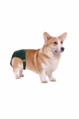 Pawise  Sanitary Pants-Köpek Külodu No:2 - 2