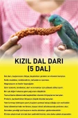 Vitafix  Kızıl Dal Darı - Tüm Kafes Kuşları Için Darı - Kuş Yemi - Yavru Kuşların Tüketimi Uygundur - 2