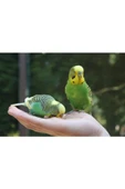 Beaks  Beak's Kabuksuz Muhabbet Kuş Yemi 750 gr - 2